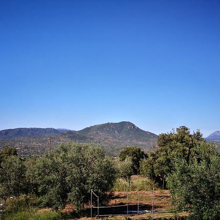 Villa Sa Pruna Oliena Exteriér fotografie
