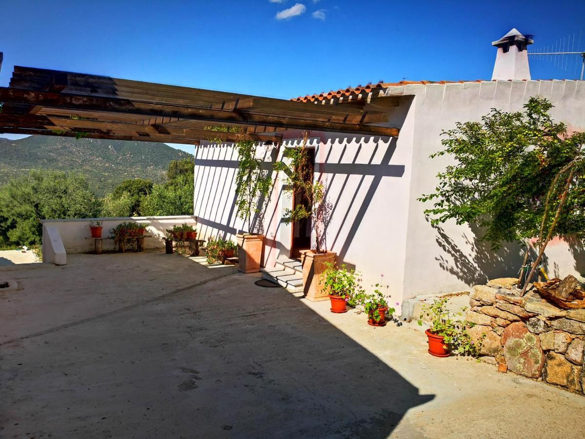 Villa Sa Pruna Oliena Exteriér fotografie