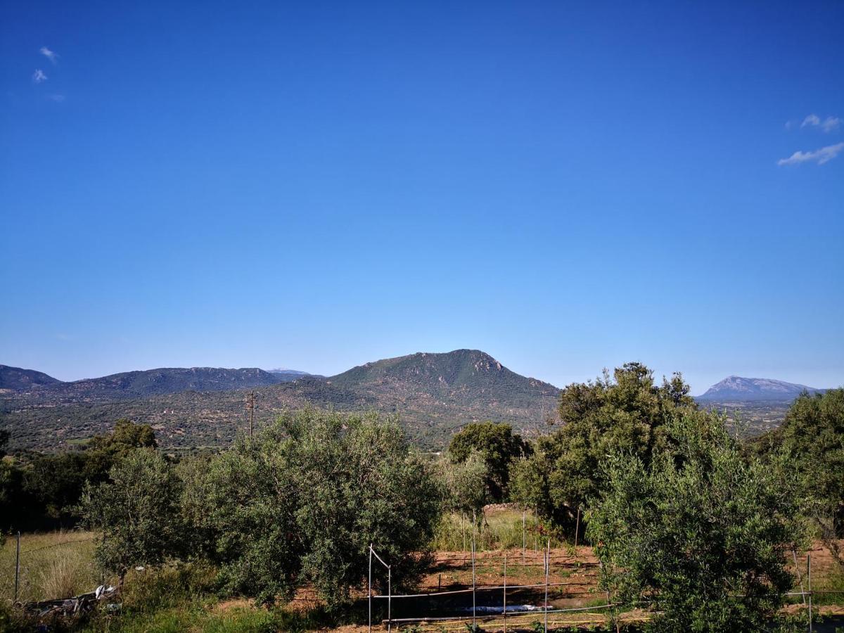 Villa Sa Pruna Oliena Exteriér fotografie