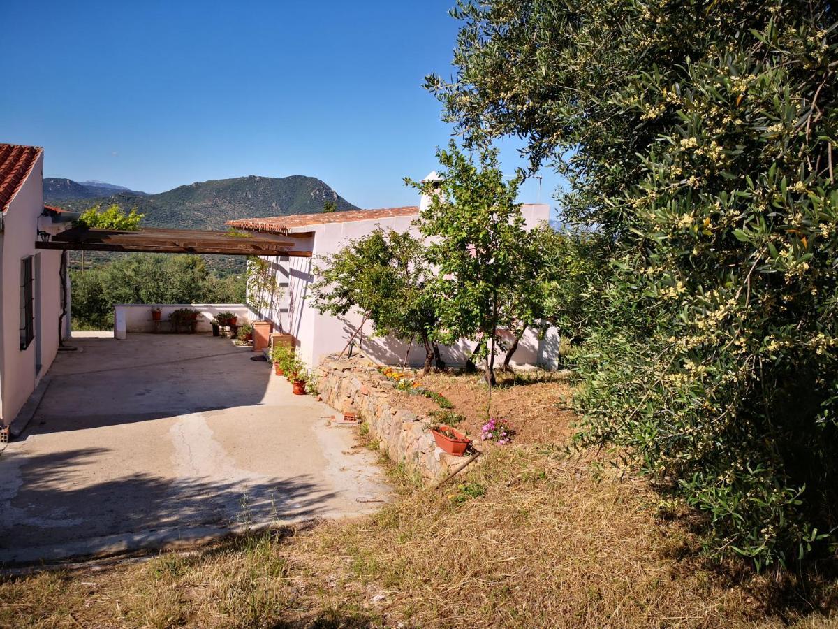 Villa Sa Pruna Oliena Exteriér fotografie