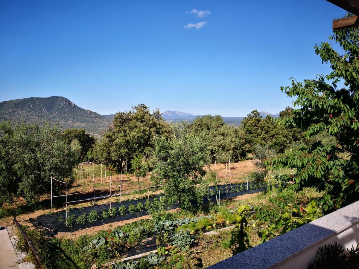 Villa Sa Pruna Oliena Exteriér fotografie