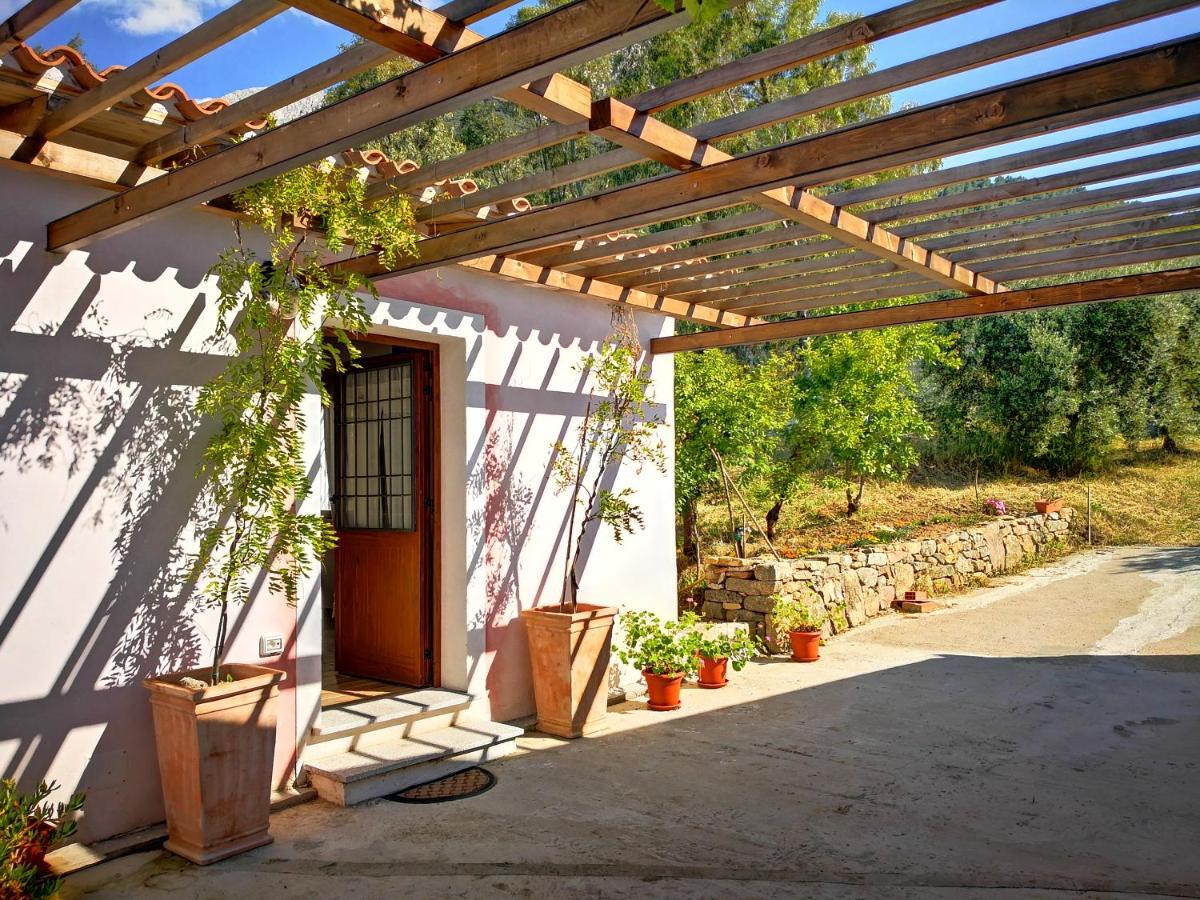 Villa Sa Pruna Oliena Exteriér fotografie