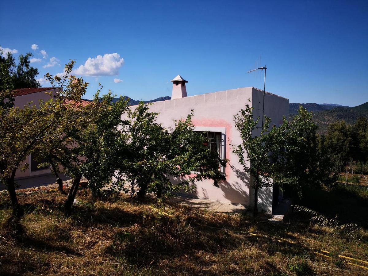 Villa Sa Pruna Oliena Exteriér fotografie